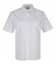 Camisa bàsica M/C